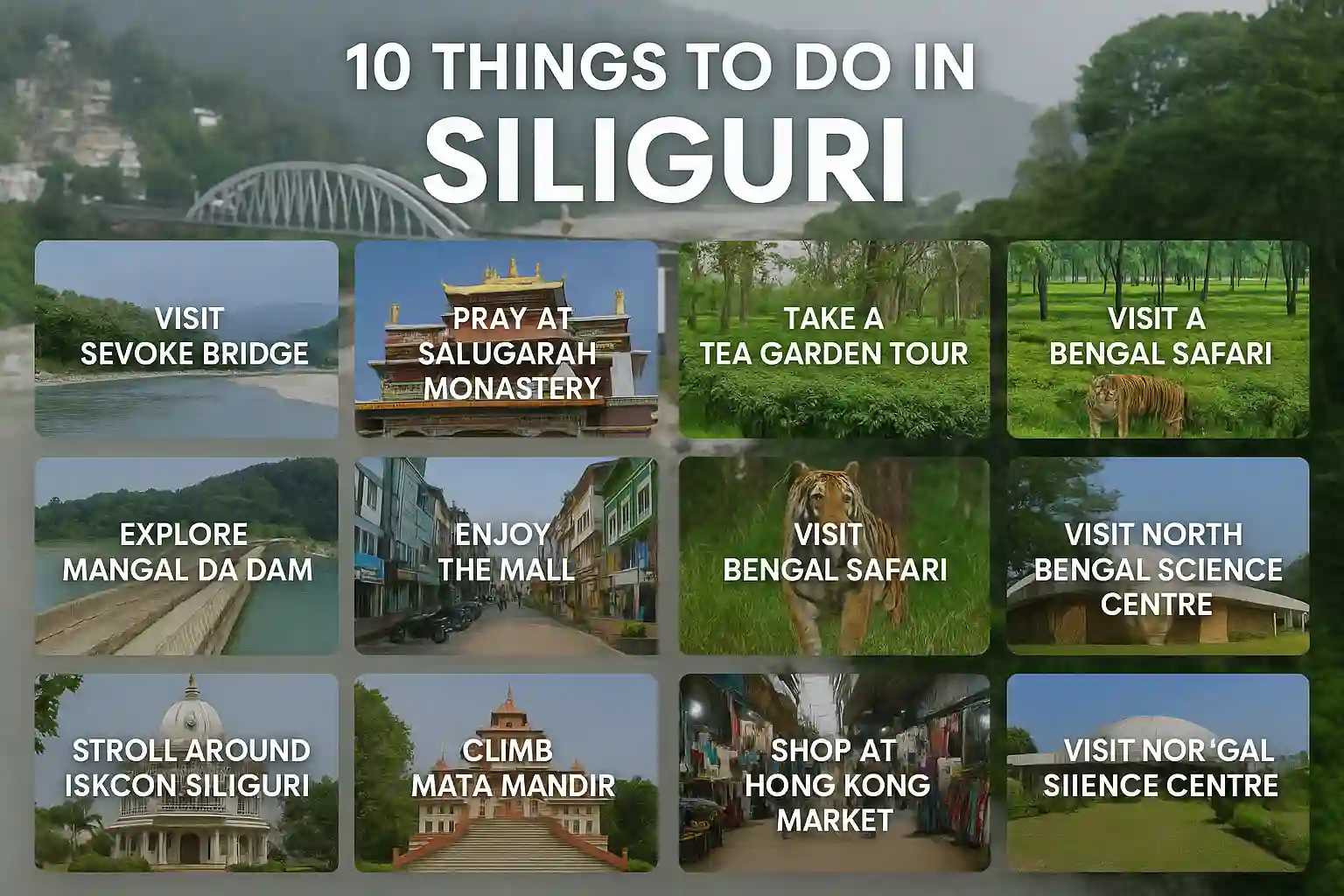 10 Things to Do in Siliguri