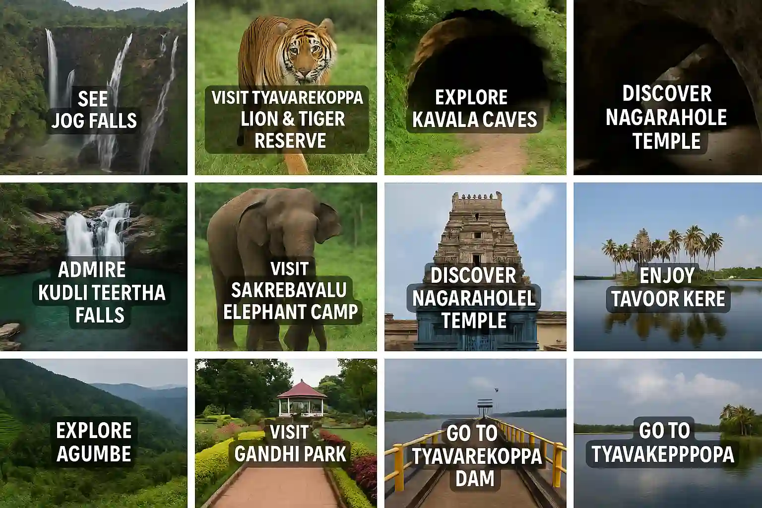 10 Things To Do in Shivamogga