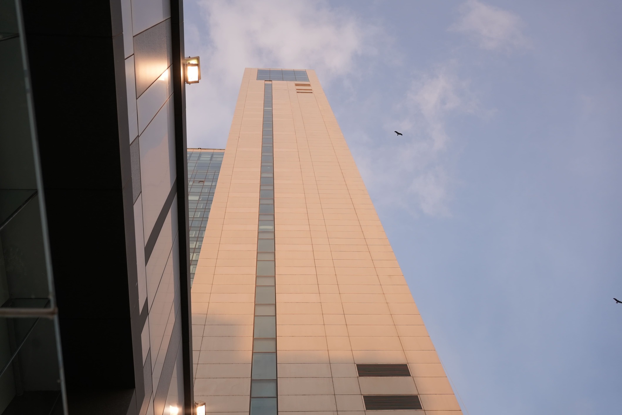 Why Renting from a Local Car Rental Agency is Better than Renting from Your Hotel